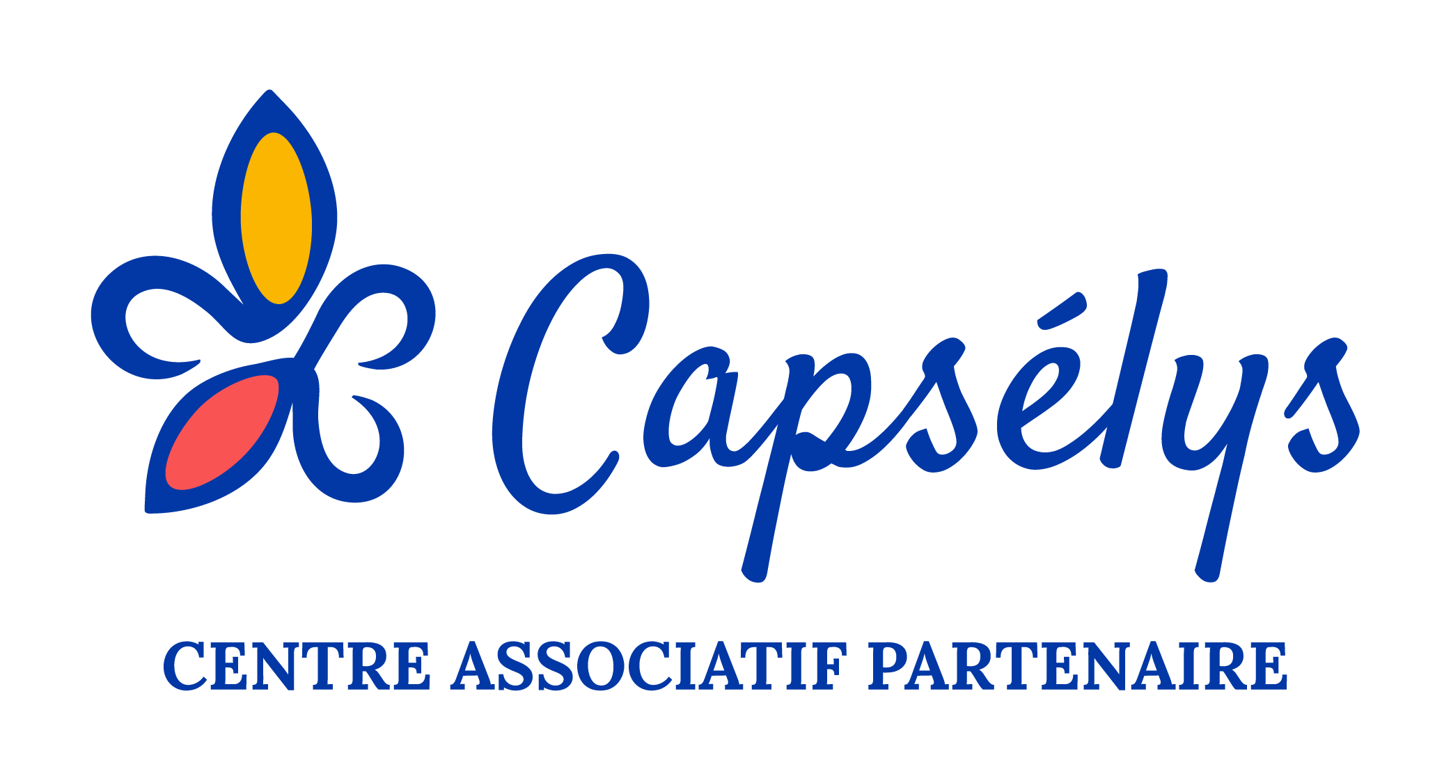 https://www.capselys.fr/